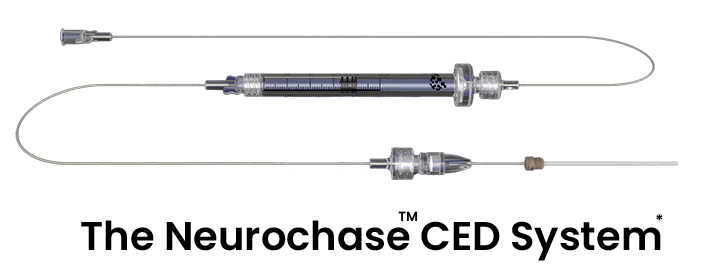 Neurochase Delivery System